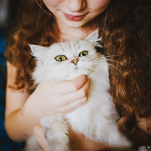 Girl holding a white cat