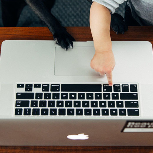 Young child and cat typing on a laptop